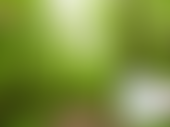 비닉스 구매 정보 - 열정을 위한 현명한 선택, 하나약국의 약속