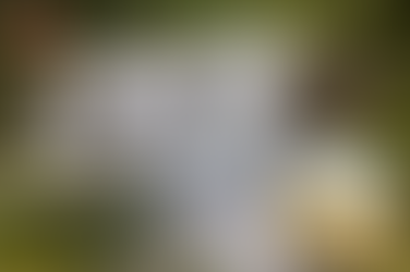 하나약국 구매자들의 솔직한 골드비아그라 구매후기