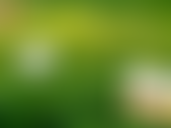 골드비아그라 구입 - 그날 밤, 우리 사이에 있던 침묵의 벽