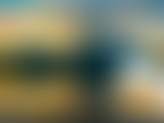 골드시알리스 주문, 멀어진 마음을 다시 이어주는 따뜻한 변화