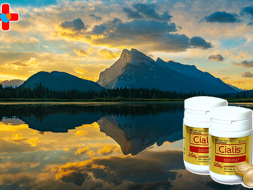 골드시알리스 주문, 멀어진 마음을 다시 이어주는 따뜻한 변화