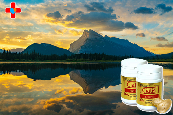 골드시알리스 주문, 멀어진 마음을 다시 이어주는 따뜻한 변화