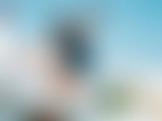 정보의 바다에서 현명하게 헤엄치기, 시알리스 100mg 디시