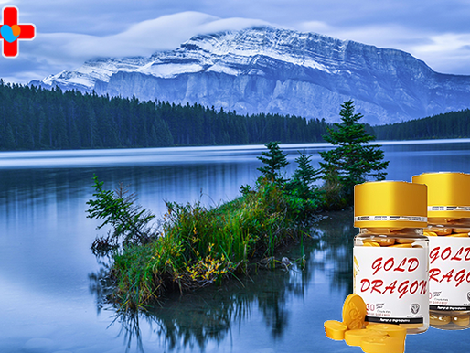 골드드래곤 30정 - 완벽한 데이트의 비밀, 컨디션의 완성도