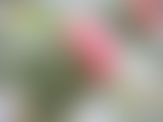 레비트라후기, 중년 남성의 열정을 유지하는 관리의 힘