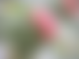 레비트라후기, 중년 남성의 열정을 유지하는 관리의 힘