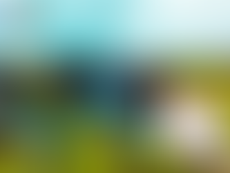 천연비아그라 해포쿠, 편안한 밤을 위한 신뢰의 파트너