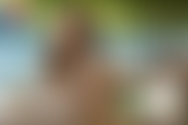 시알리스 20mg 복용법, 근본적인 스테미너를 위한 일상의 혁신