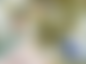 비아그라25mg, 골드비아가 구현하는 맞춤형 신뢰