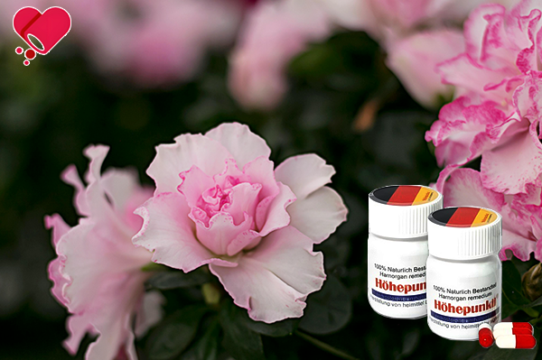 독일 신약 해포쿠, 럭스비아와 함께하는 현명한 관리