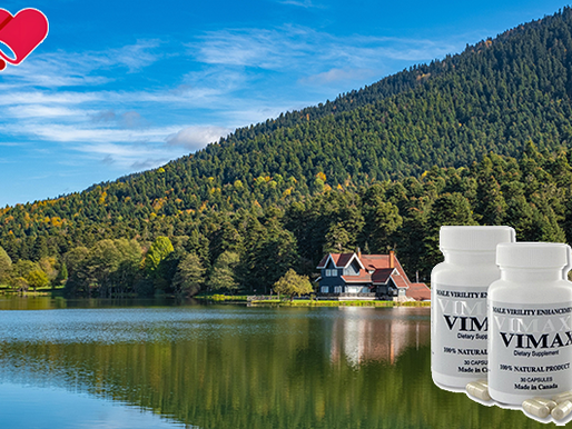 나를 위한 맞춤형 선택, 비맥스 골드 메타 비교의 의미