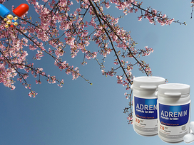 아드레닌 주문, 사소한 선택이 만든 결정적 차이