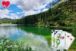 비닉스 센트립 차이, 럭스비아가 풀어드리는 명쾌한 가이드