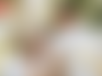 시알리스, 섹스리스 극복의 해결책