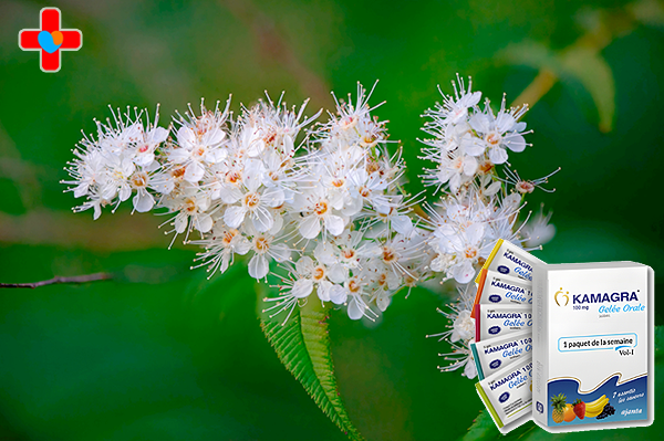 슈퍼카마그라효과 - 추억을 살아내는 관계의 순간, 깊은 교감