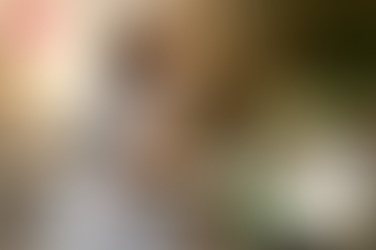 시알리스 구매대행, 섹시한 남자의 선택