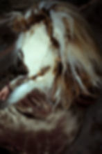 Miniaturbild: Wild´WolfCap Ooak