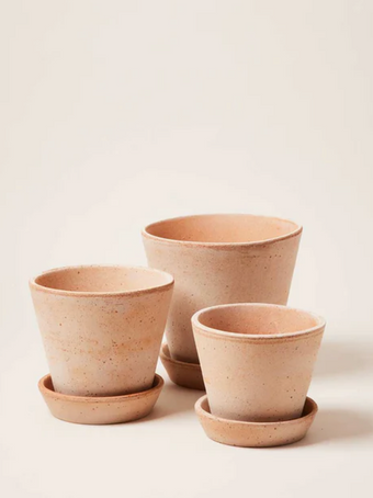 TERRACOTTA GARDEN POT AND SAUCER.png