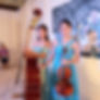 Viola-Bass