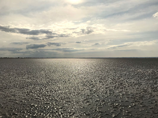 IMG_0042 copie 3.jpeg