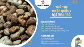 Raw Cashew Nut Import Procedures in Vietnam: HS Code, Duty & Quarantine