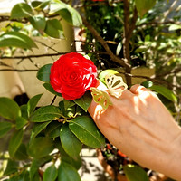 Jewelry Making Intensive Course