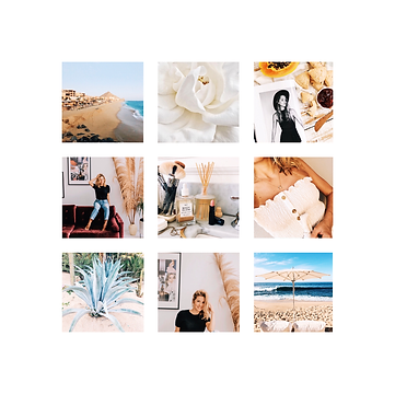collage.png