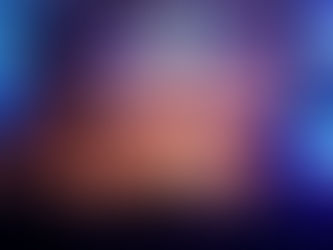 Les sportifs namurois mis à l'honneur par la Province de Namur