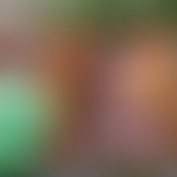 J-25 avant les élections 2014