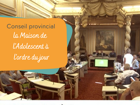 Une convention de partenariat pour la Mado validée par le Conseil