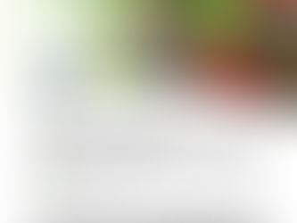 Journée Internationale sans viande