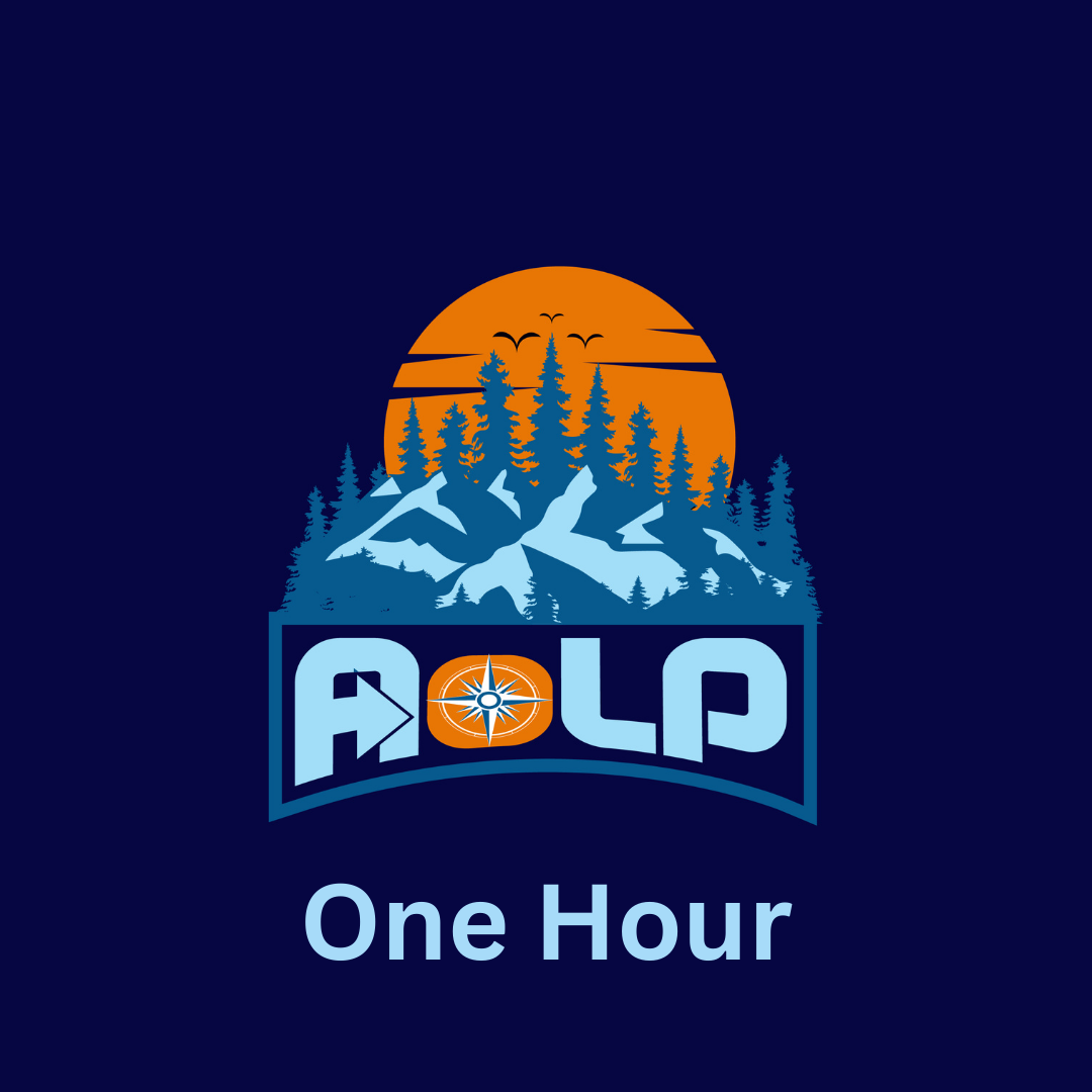 One Hour 1-to-1 Meeting