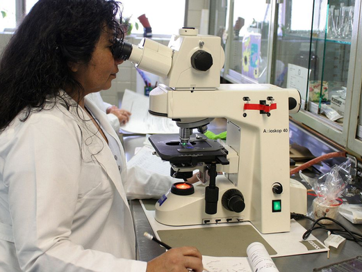Prêmio chama atenção para desafios enfrentados por mulheres cientistas