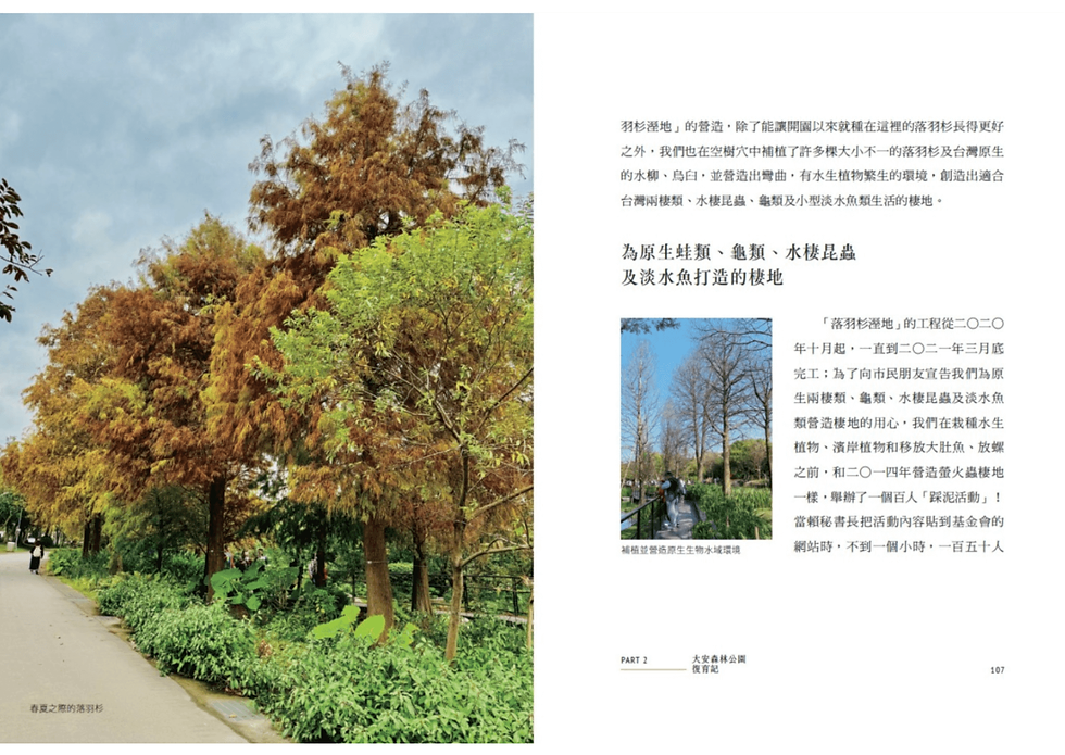 縮圖：教授的公園夢：打造都市之肺、復育螢火蟲，從零開始的第一本公園生態說明書