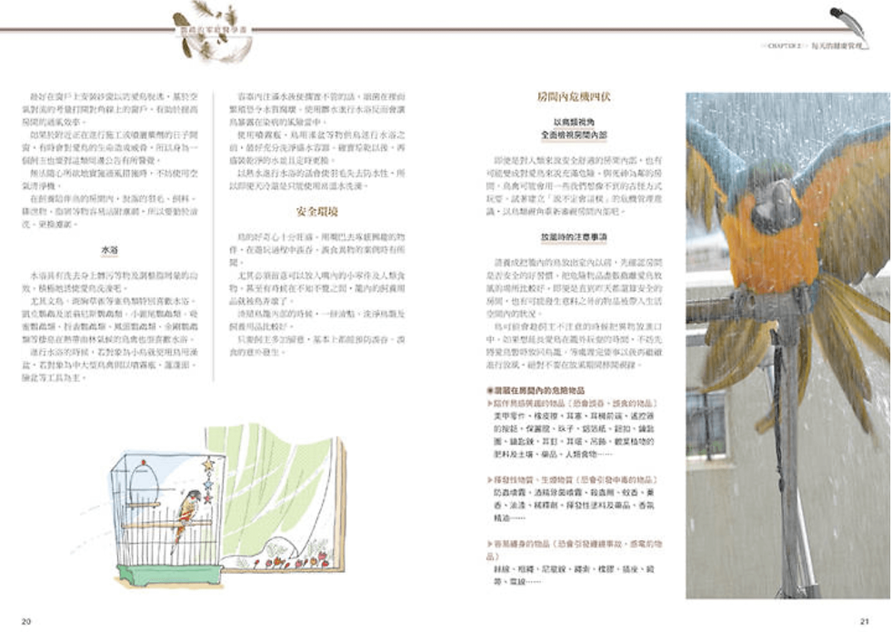 縮圖：鸚鵡的家庭醫學書：深度了解寵物鳥的健康飼養方法 遠離疾病快樂陪伴