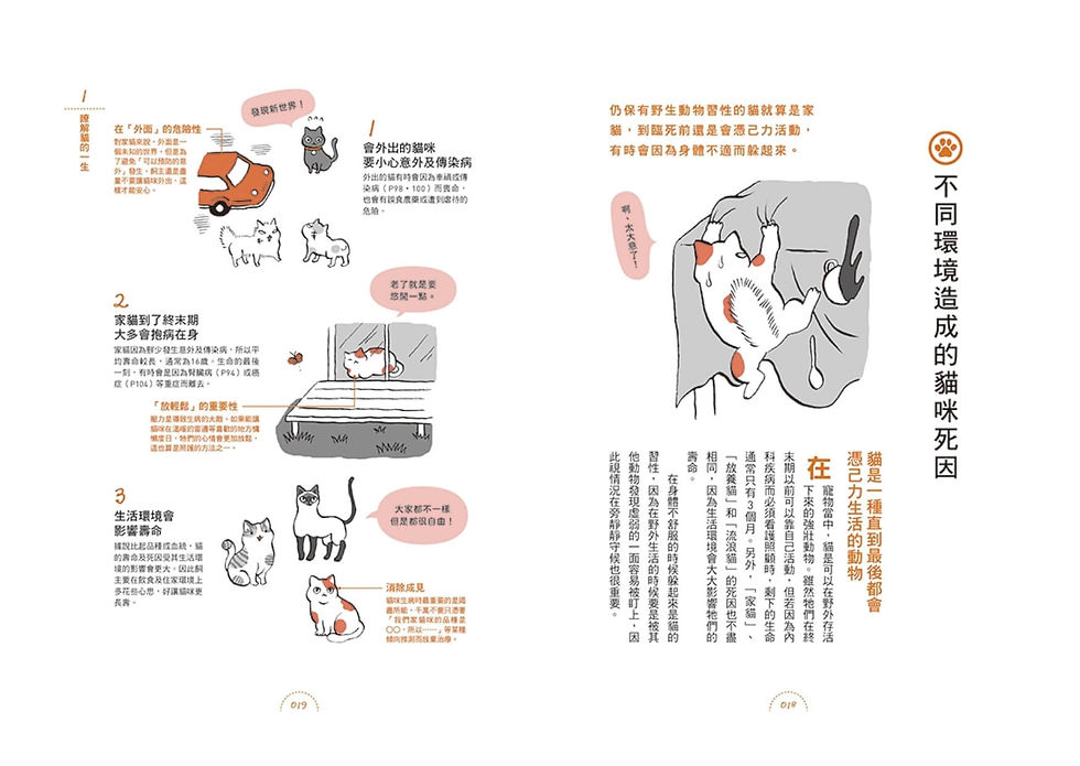 縮圖：全方位圖解高齡貓照護：日常照護×疾病知識×臨終準備，親手設計愛貓的優質老後生活