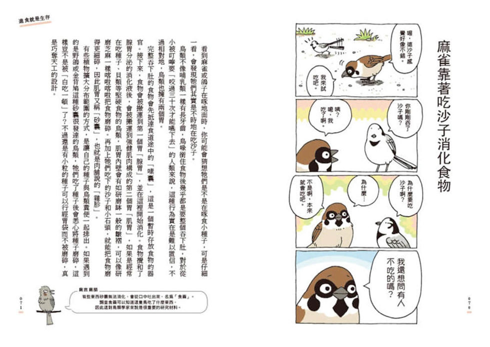 縮圖：和路邊的野鳥做朋友（新裝版）：超萌四格漫畫，帶你亂入很有戲的鳥類世界