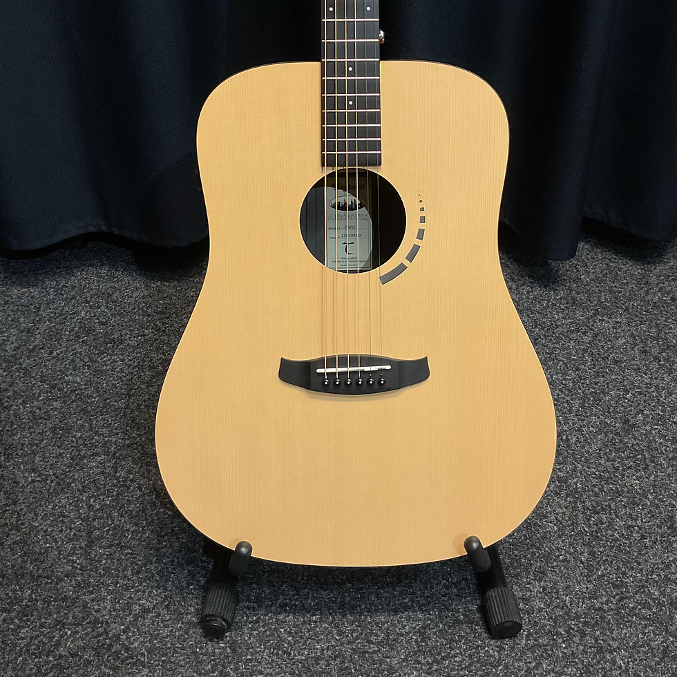 Tanglewood Metropolitan Series TM5E
