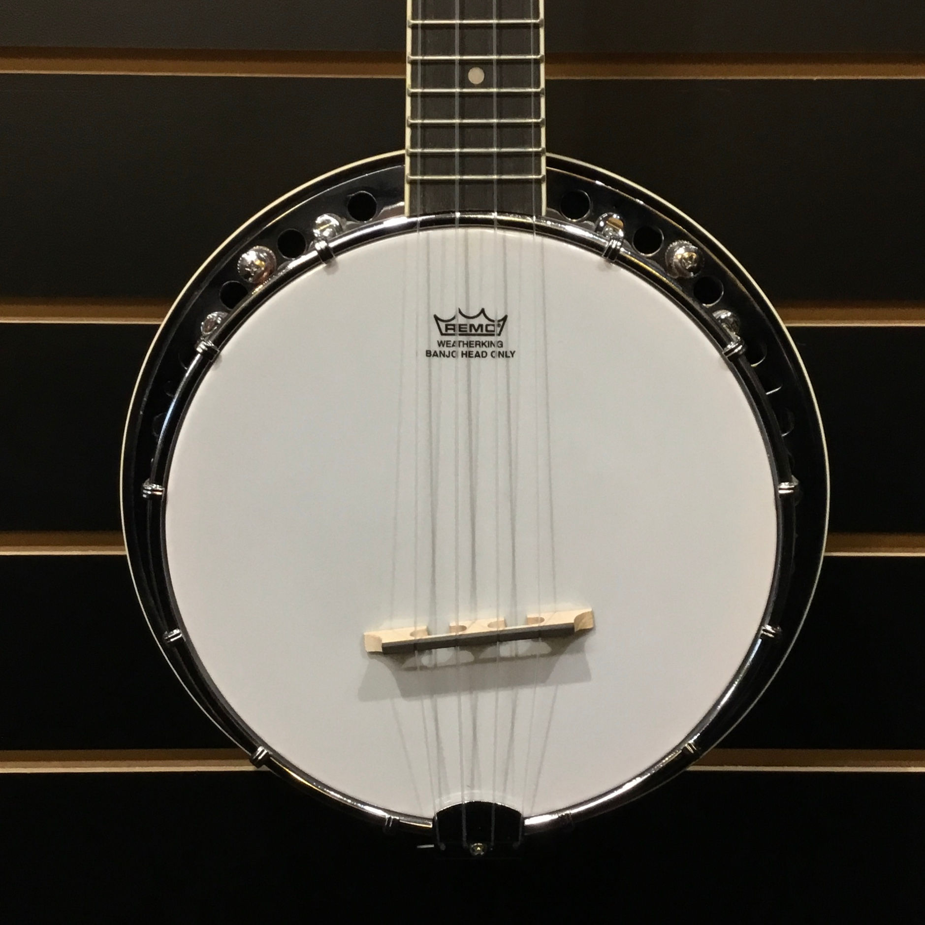 Barnes & Mullins UBJ1 Banjolele