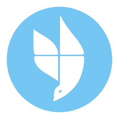 CNAZ_Blue_Logo.png