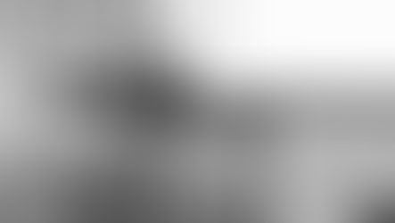 Empowering Early Childhood Professionals Through the Dream Manager Program