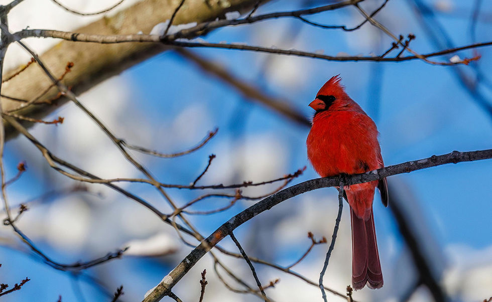 January 2026 Meeting