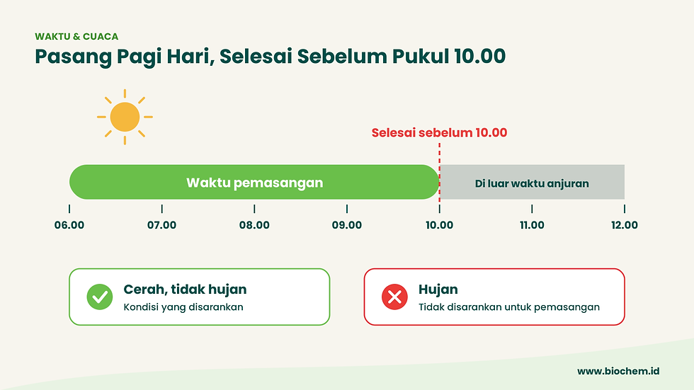 Cara Pasang Protecrop Synomon Artech di Kebun Sawit: Pelepah ke-9 atau ke-17