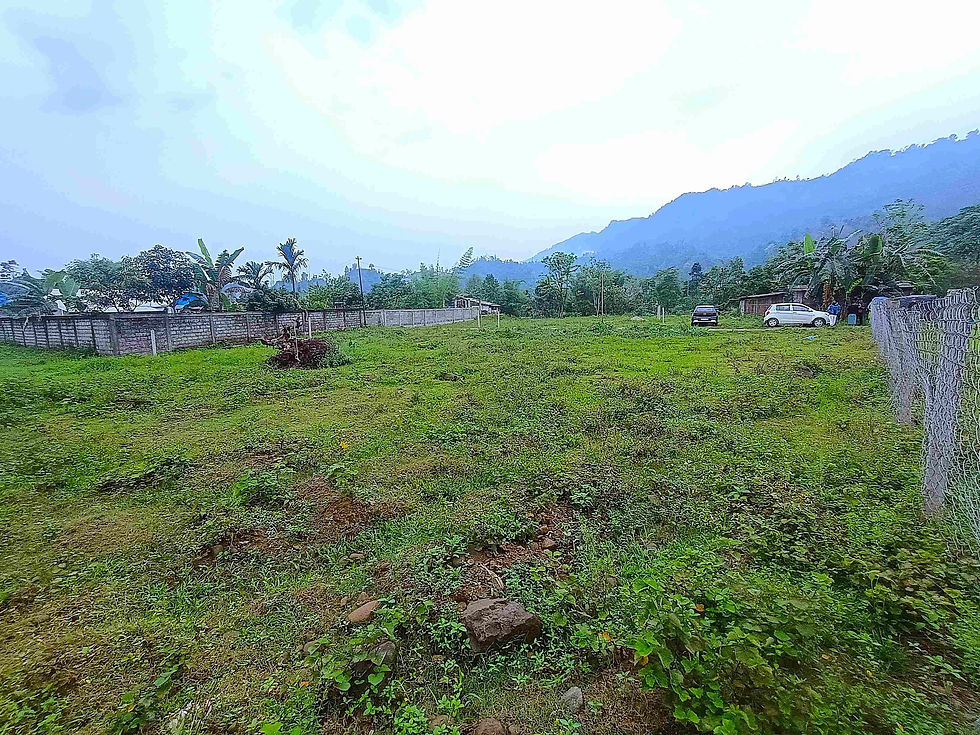 Flat Plot for Sale – Nyorch, Yupia, Arunachal Pradesh