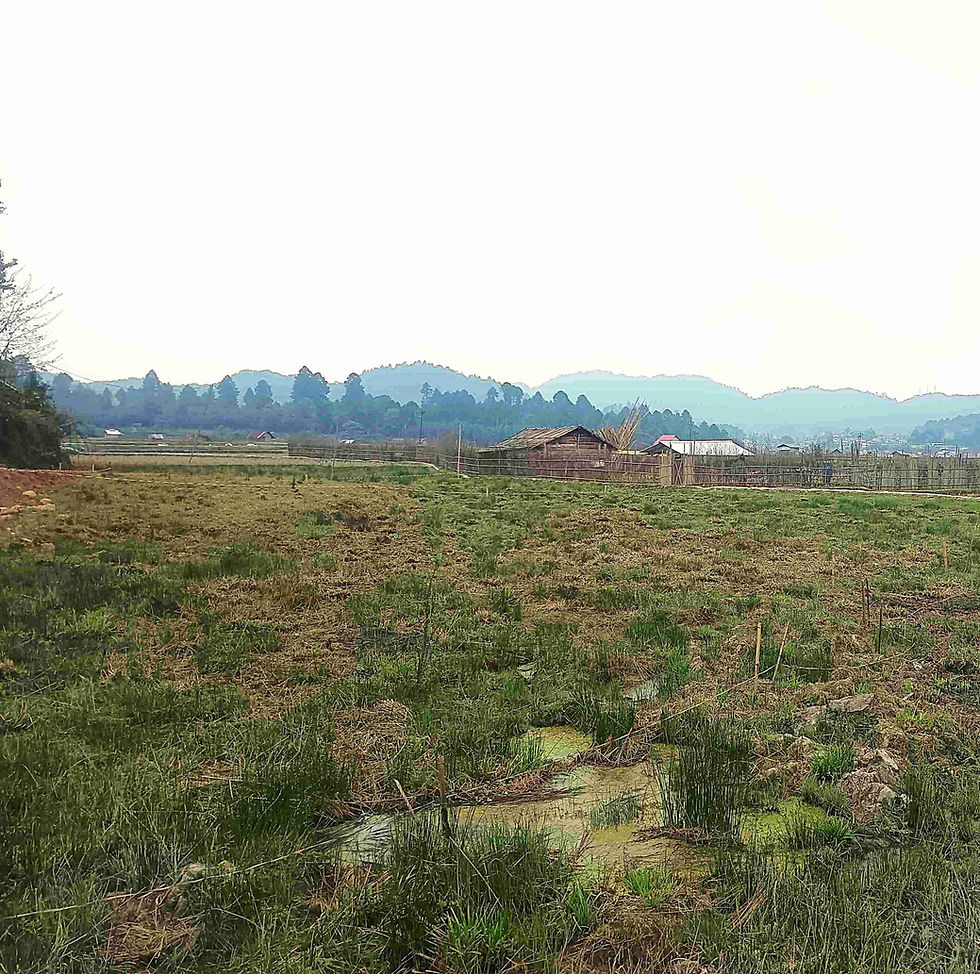 Plot for sale in Biirii, Hapoli – Near Pechi Putu, Ziro Valley, Arunachal Pradesh touching the Biirii -Hanoko Main Road very close to Pechi Putu, Supung Dree Ground, Hong Dree Ground, and Sii Lake