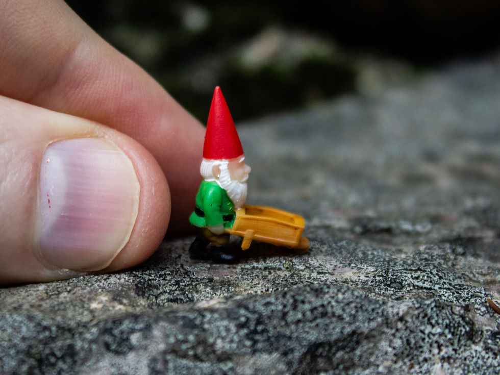 Thumbnail: Gnomes (10 pack)