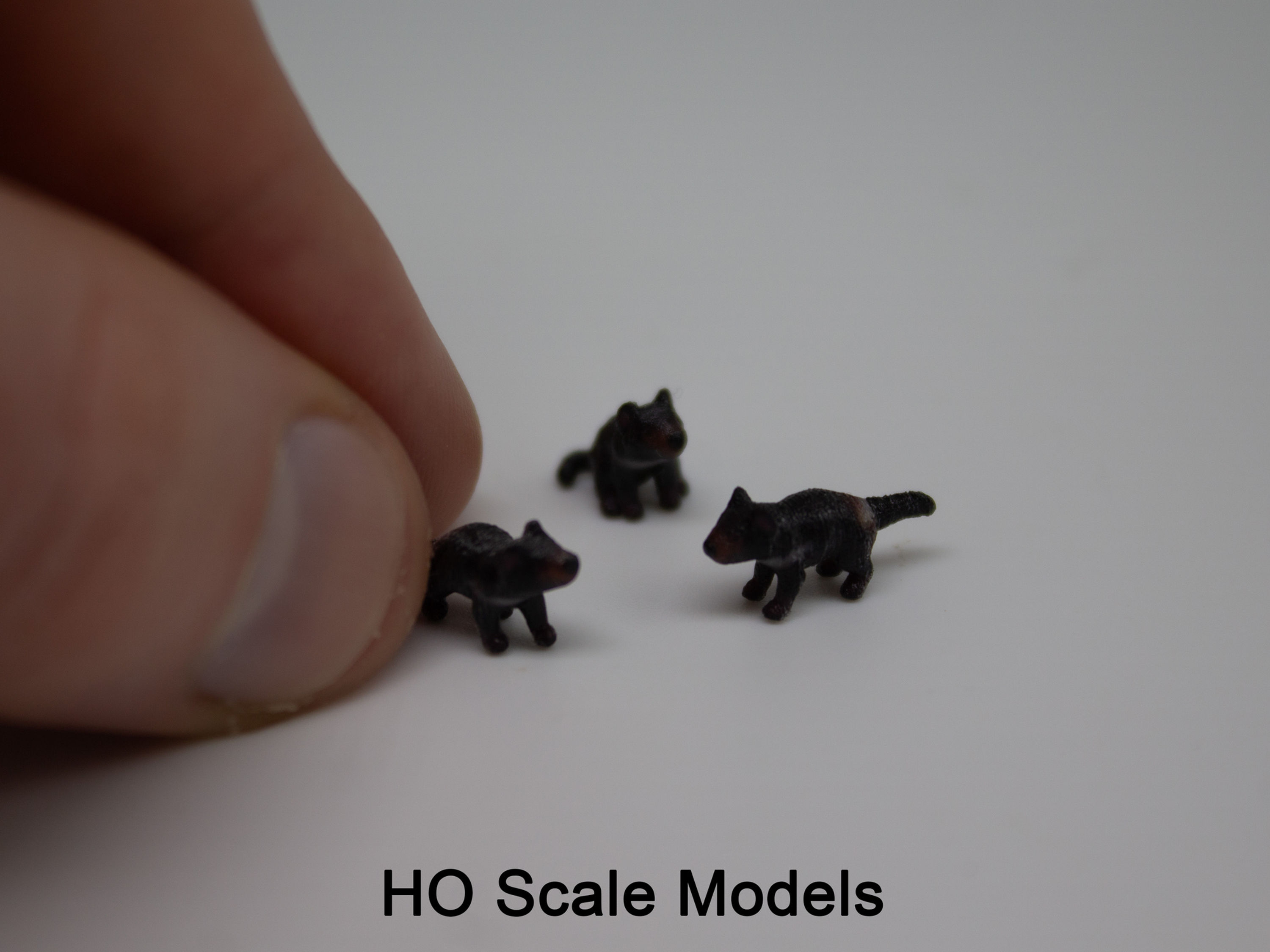 Tasmanian Devil (4 pack)