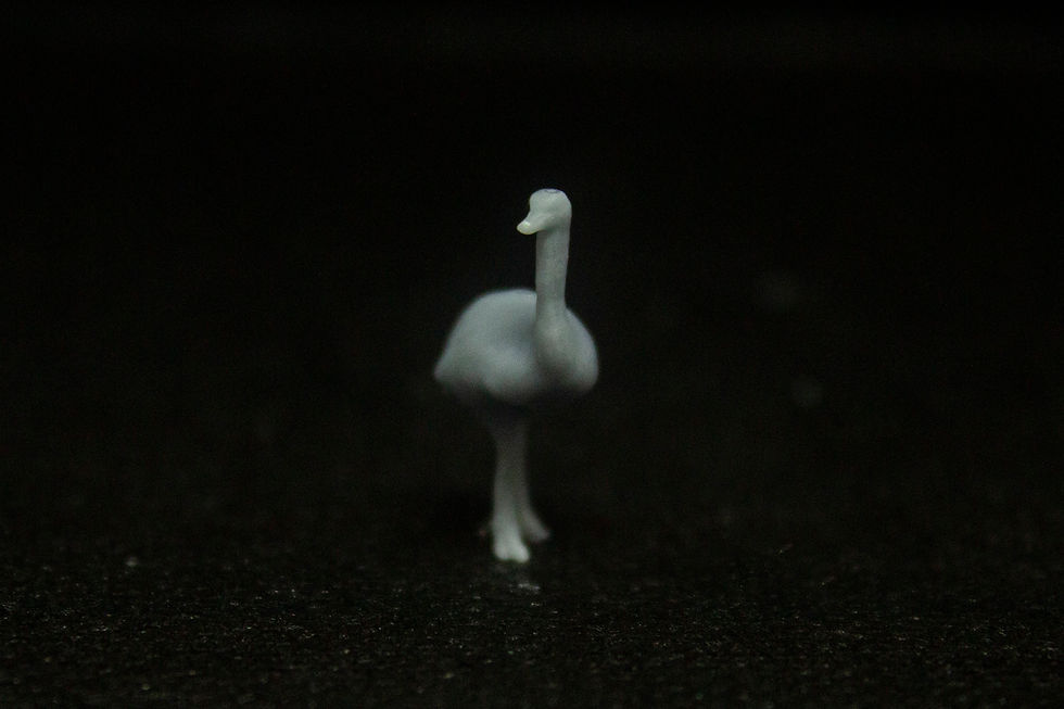 Thumbnail: Emu (4 pack)