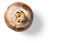 champ.png