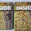 Thumbnail: Inside Books × 2